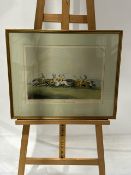 Horse Racing Artwork