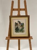 Bird Artwork Print