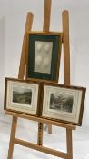 Artwork - Nature Prints x3