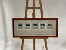 Artwork - Frogs Leap