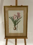 Flower Artwork Print