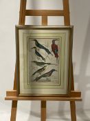 Bird Artwork