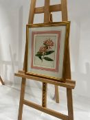 Artwork - Firebush Print