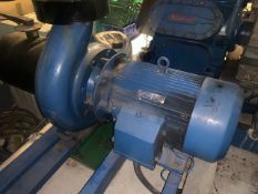 Centrifugal Pump