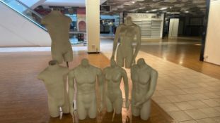 Selection Of Mannequin Torsos