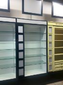 Wall Display Cabinet