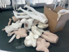 Selection of Mannequins