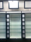 Wall Display Cabinet