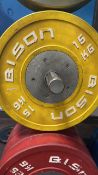Bison Plates 2 x 15kg