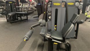 Leg Extension
