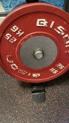 Bison Plates 2 x 25kg