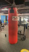 Pro Box Punch Bag