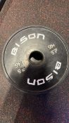 Bison Plates 2 x 2.5kg