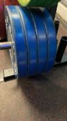 Bison Plates 2 x 20kg