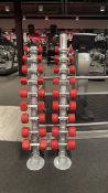 Escape Dumbells & Stand
