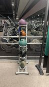Medicine Balls x 5 & Stand