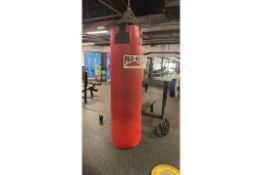 Punch Bag