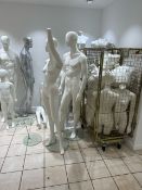 Selection of Mannequins
