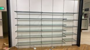 Wall of Glass Shelving