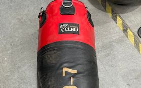 Pro X Punch Bag