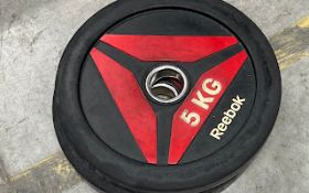 Reebok Weight Plates
