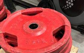 Eurosport Weight Plates