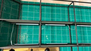 Metal Shelving & Lighting