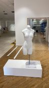 Mannequin & Plinth