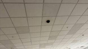 Quantity Of Ceiling Tiles