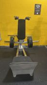 Assisted Squat