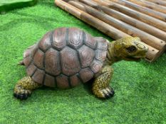 Tortoise Statue