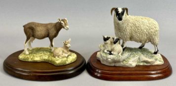 BORDER FINE ARTS FIGURES (2) - Black faced ewe and lamb, 124, on wooden stand, 13cms H and 'Emily'