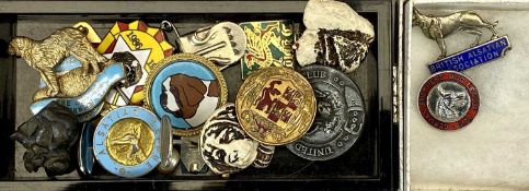 TROPHIES & OTHER AWARDS - a large collection, mainly dog related