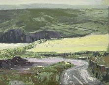 ‡ GARY LONG (British born 1945) oil on canvas - entitled verso 'Around the corner Pendeen',