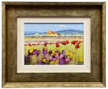 ‡ BRUNO TINUCCI (Italy born, b.1947) oil on canvas - view across field of flowers towards a Tuscan