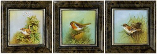 THREE FRAMED PORCELAIN PLAQUES HANDPAINTED WITH BIRDS, to include robin, wren and reed warbler,