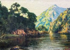 EDWARD ROWORTH (South African, 1880-1964) oil on canvas - ‘Reflections Keurboom’, signed, 59 x 82cms