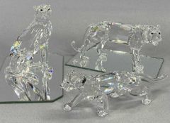 SWAROVSKI CRYSTAL - Leopard 217093, Cheetah 7610 and Tiger 220470, with mirrored display stands