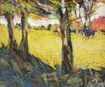 ‡ MIKE JONES mixed media - entitled verso 'Coed Glyntawe', signed versoDimensions: 24 x