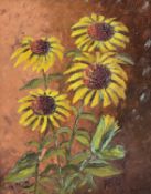 ‡ VERA MONEY (Contemporary) oil on board - still life, yellow daisies, 44 x 34cms