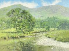 ‡ TONY WOODING (British, b. 1969) oil on canvas - landscape with river, sheep and mountains, signed,