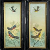 OBEDIAH HODGES (Welsh, 1873-1938) gouache on board - three exotic birds perched on leafy branches