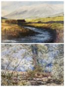 OIL ON BOARD - rural mountain, river and cottage scene, indistinctly signed and a FLOYD BOND