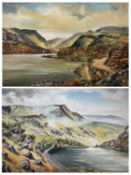 DOROTHEA HYDE oils on canvas (2) - hillside track overlooking lake, signed and dated 1977m 29 x