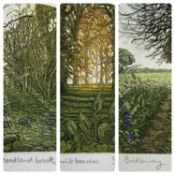 STEPHEN WHITTLE (British 1953-2000) limited edition etchings in colour (3) - (95/200) 