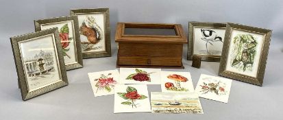 MAHOGANY TABLETOP DISPLAY CASE with glazed, hinged lid, on drawer to base, lined with green baize,