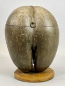 COCO-DE-MER NUT - early 20th century converted into a twin chamber box with hinged cover, on oval