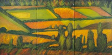 LUIS CARLOS BARRIOS (Columbian-Mexican, 1953-2011), oil on canvas - 'Sembradios', landscape,