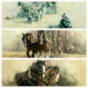 DAVID SHEPHERD limited edition artist's proof print (184/850) - donkeys, signed and numbered in