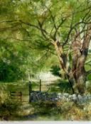 ROB PIERCY RCA, RWSW, (British Born 1946) limited edition colour print (109/200) - 'Y Lon Goed',